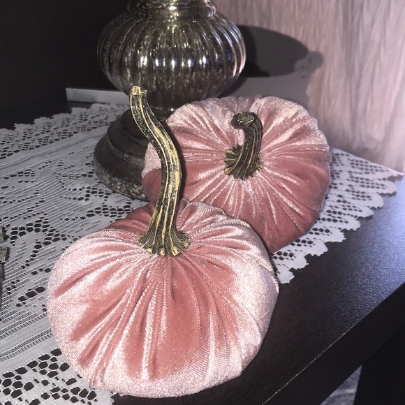 Other - 🍂🍁set of 2 pink velvet fall pumpkins😍🍂🍁